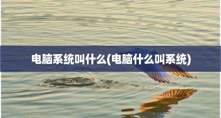 电脑系统叫什么(电脑什么叫系统)