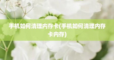 手机如何清理内存卡(手机如何清理内存卡内存)
