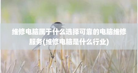 维修电脑属于什么选择可靠的电脑维修服务(维修电脑是什么行业)