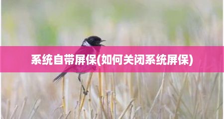 系统自带屏保(如何关闭系统屏保)