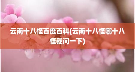 云南十八怪百度百科(云南十八怪哪十八怪我问一下)