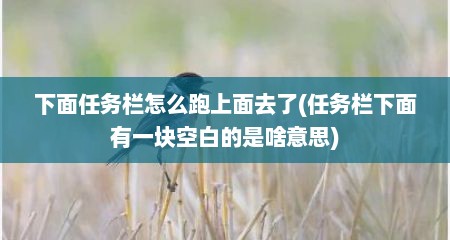 下面任务栏怎么跑上面去了(任务栏下面有一块空白的是啥意思)