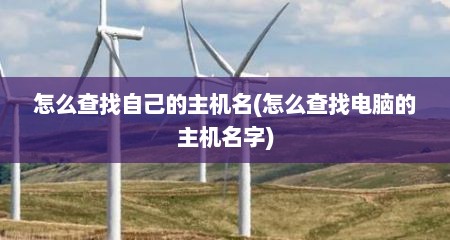 怎么查找自己的主机名(怎么查找电脑的主机名字)