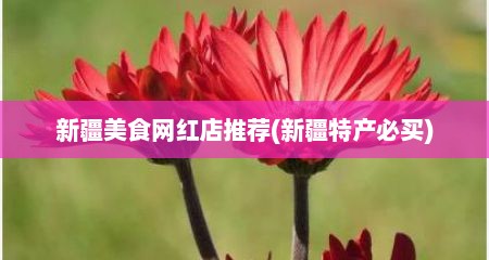 新疆美食网红店推荐(新疆特产必买)