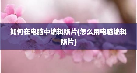 如何在电脑中编辑照片(怎么用电脑编辑照片)