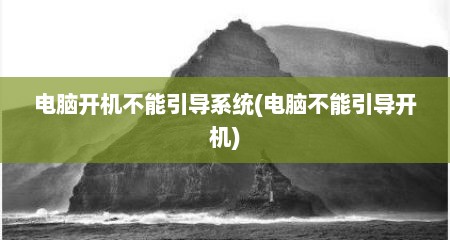 电脑开机不能引导系统(电脑不能引导开机)