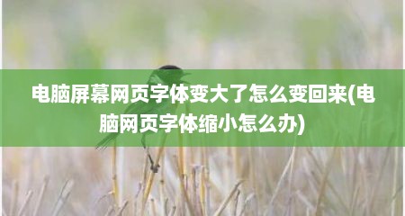 电脑屏幕网页字体变大了怎么变回来(电脑网页字体缩小怎么办)
