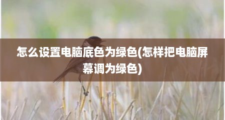 怎么设置电脑底色为绿色(怎样把电脑屏幕调为绿色)