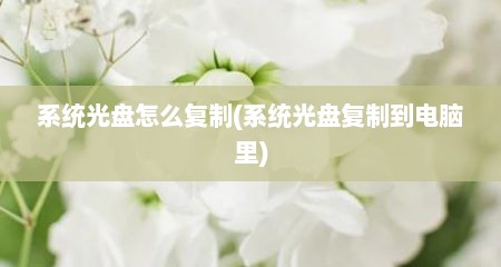 系统光盘怎么复制(系统光盘复制到电脑里)