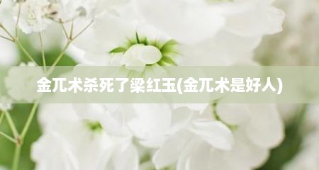 金兀术杀死了梁红玉(金兀术是好人)