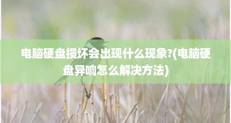 电脑硬盘损坏会出现什么现象?(电脑硬盘异响怎么解决方法)