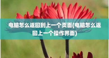 电脑怎么返回到上一个页面(电脑怎么返回上一个操作界面)