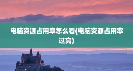 电脑资源占用率怎么看(电脑资源占用率过高)