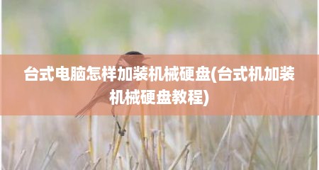台式电脑怎样加装机械硬盘(台式机加装机械硬盘教程)