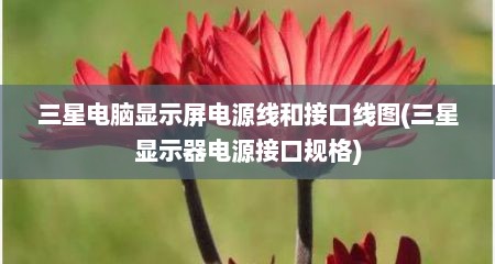 三星电脑显示屏电源线和接口线图(三星显示器电源接口规格)