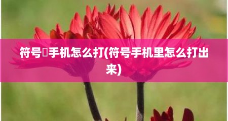 符号゜手机怎么打(符号手机里怎么打出来)