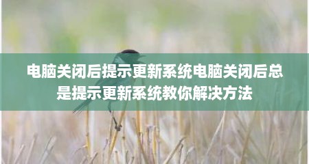 电脑关闭后提示更新系统电脑关闭后总是提示更新系统教你解决方法
