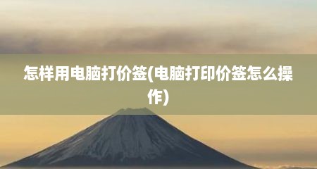 怎样用电脑打价签(电脑打印价签怎么操作)