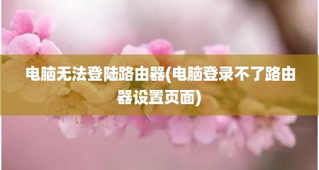 电脑无法登陆路由器(电脑登录不了路由器设置页面)