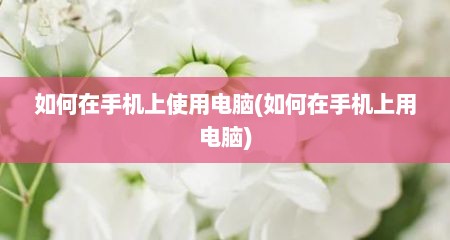 如何在手机上使用电脑(如何在手机上用电脑)