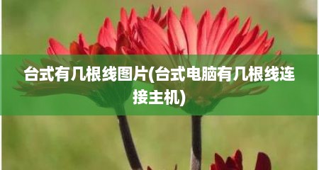 台式有几根线图片(台式电脑有几根线连接主机)