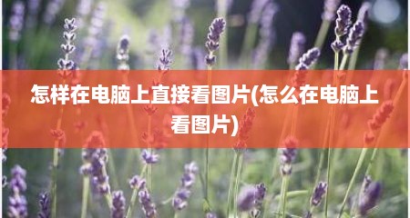 怎样在电脑上直接看图片(怎么在电脑上看图片)