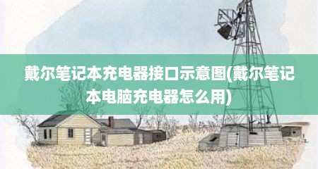 戴尔笔记本充电器接口示意图(戴尔笔记本电脑充电器怎么用)