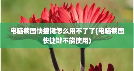 电脑截图快捷键怎么用不了了(电脑截图快捷键不能使用)