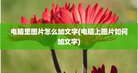 电脑里图片怎么加文字(电脑上图片如何加文字)