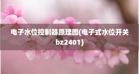 电子水位控制器原理图(电子式水位开关bz2401)