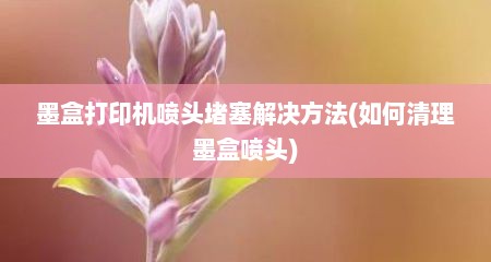 墨盒打印机喷头堵塞解决方法(如何清理墨盒喷头)