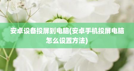 安卓设备投屏到电脑(安卓手机投屏电脑怎么设置方法)