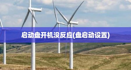 启动盘开机没反应(盘启动设置)