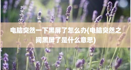 电脑突然一下黑屏了怎么办(电脑突然之间黑屏了是什么意思)
