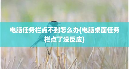 电脑任务栏点不到怎么办(电脑桌面任务栏点了没反应)