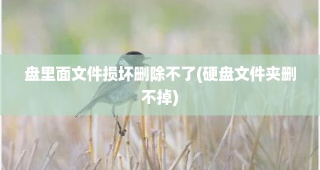 盘里面文件损坏删除不了(硬盘文件夹删不掉)