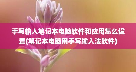 手写输入笔记本电脑软件和应用怎么设置(笔记本电脑用手写输入法软件)