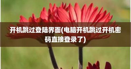开机跳过登陆界面(电脑开机跳过开机密码直接登录了)