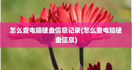 怎么查电脑硬盘信息记录(怎么查电脑硬盘信息)