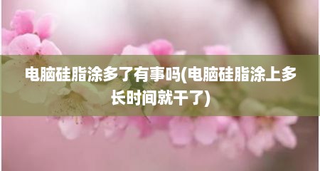 电脑硅脂涂多了有事吗(电脑硅脂涂上多长时间就干了)