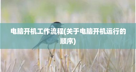 电脑开机工作流程(关于电脑开机运行的顺序)