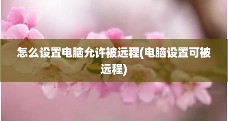 怎么设置电脑允许被远程(电脑设置可被远程)