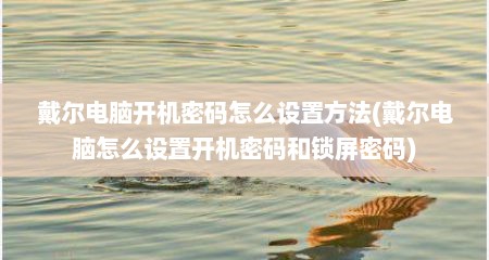 戴尔电脑开机密码怎么设置方法(戴尔电脑怎么设置开机密码和锁屏密码)