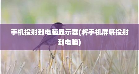 手机投射到电脑显示器(将手机屏幕投射到电脑)
