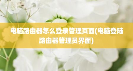 电脑路由器怎么登录管理页面(电脑登陆路由器管理员界面)