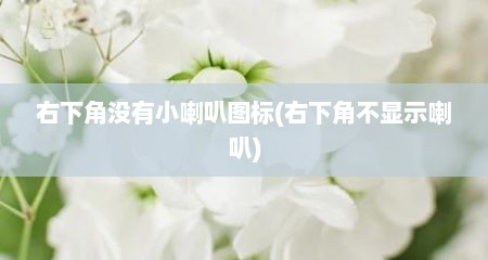 右下角没有小喇叭图标(右下角不显示喇叭)