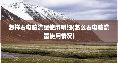 怎样看电脑流量使用明细(怎么看电脑流量使用情况)