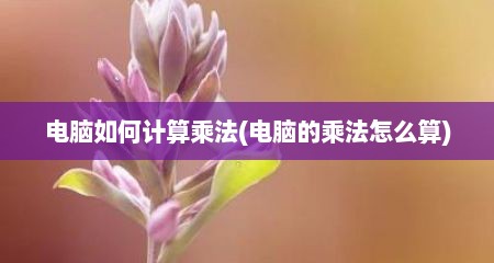 电脑如何计算乘法(电脑的乘法怎么算)