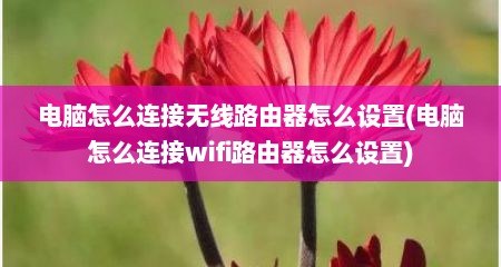 电脑怎么连接无线路由器怎么设置(电脑怎么连接wifi路由器怎么设置)
