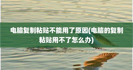 电脑复制粘贴不能用了原因(电脑的复制粘贴用不了怎么办)